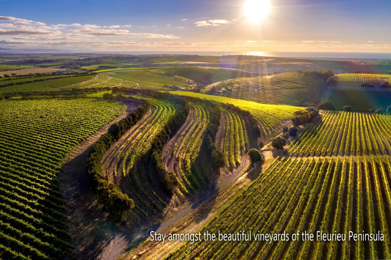 לינה וארוחת בוקר Sellicks Hill The Old Chaff Mill Organic Vineyard Retreat מראה חיצוני תמונה